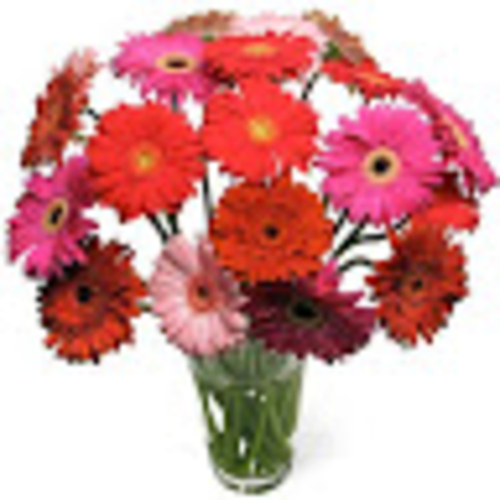 Meet your Posher, Margie